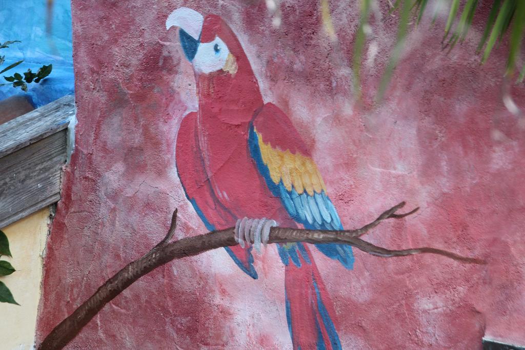 El Porvenir Hostel ลอสยานอส เด อารีดาเน ภายนอก รูปภาพ